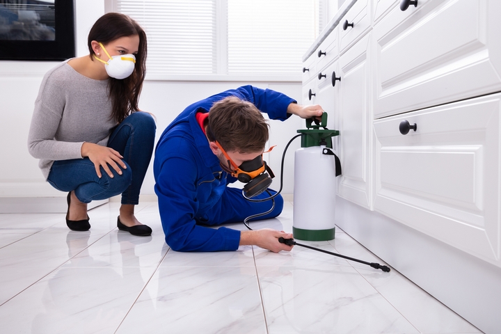 pest control companies in tallahassee fl 46-2-1