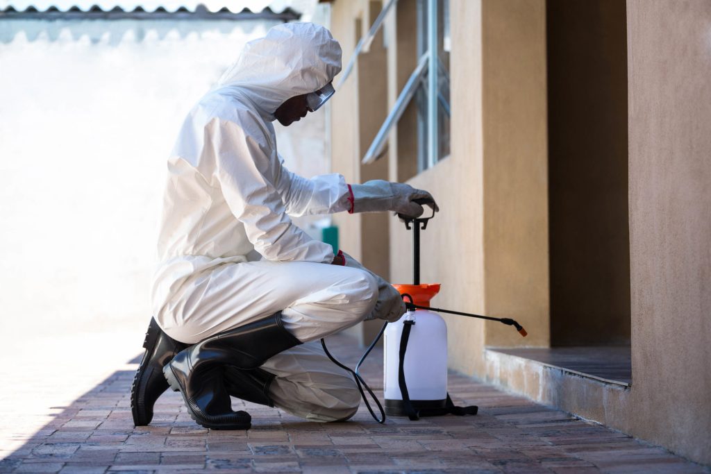 exterminators tallahassee fl 36-2-scaled-1